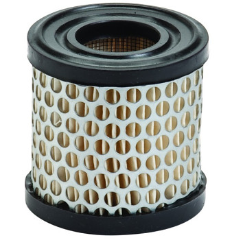 Filtr vzduchový pro Briggs