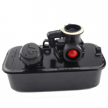 Nádrž paliva s karburátorem pro Briggs