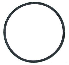 Těsnění plováku pro Tecumseh