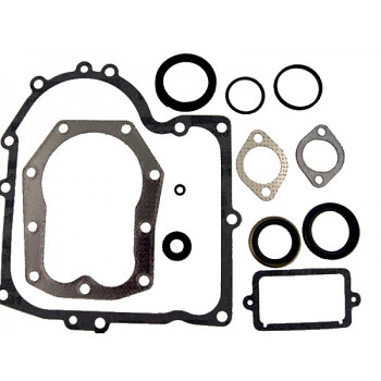 Opravárenská sada pro Briggs