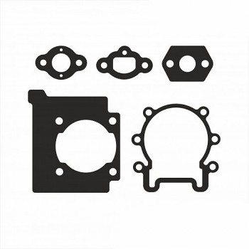 Sada těsnění pro OleoMac 741